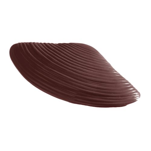 Chocoladevorm driehoekmossel groot