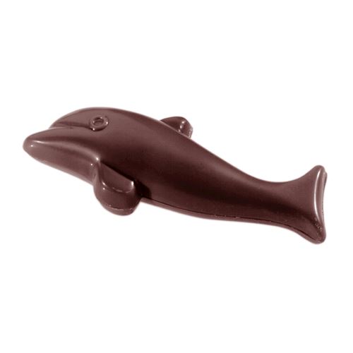 Chocoladevorm dolfijn