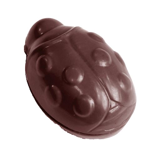 Chocoladevorm lieveheersbeestje