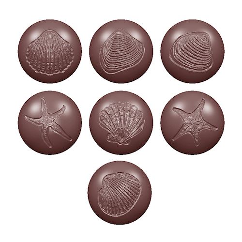 Chocoladevorm zeebollen fossiel 7 fig.