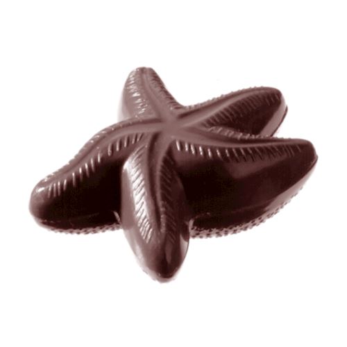 Chocoladevorm zeester