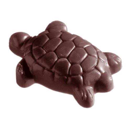 Chocoladevorm schildpad