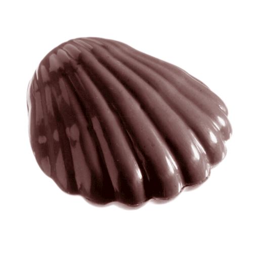 Chocoladevorm grote schelp