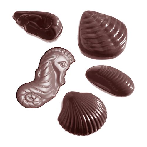 Chocoladevorm zeevruchten assortiment 8 fig.