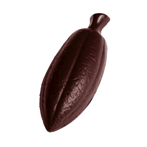 Chocoladevorm cacaoboon