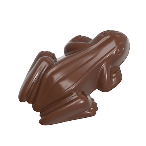 Chocoladevorm kikker
