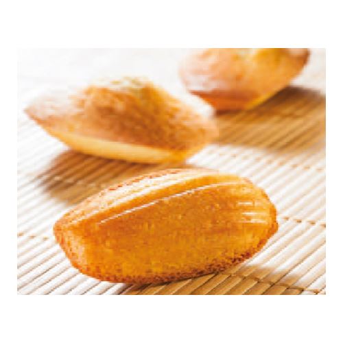 Flexipan 1511 madeleines