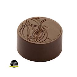 Chocoladevorm rond cacaoboon