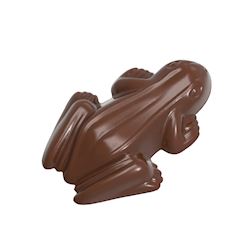 Chocoladevorm kikker