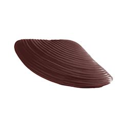 Chocoladevorm driehoekmossel groot