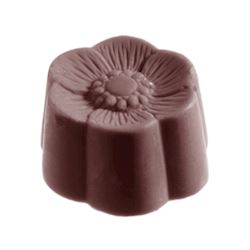 Chocoladevorm anemoon
