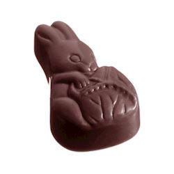 Chocoladevorm konijn
