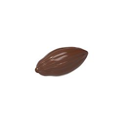Chocoladevorm mini cacaoboon