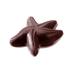 Chocoladevorm zeester