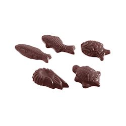 Chocoladevorm karak zeevruchten 5 fig.