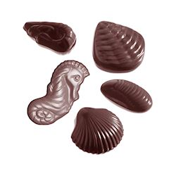 Chocoladevorm zeevruchten assortiment 8 fig.