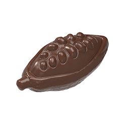 Chocoladevorm cacaoboon open