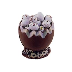 Chocoladevorm ei gebroken105bx115h